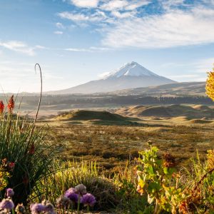 Full Day Cotopaxi Hike and Bike